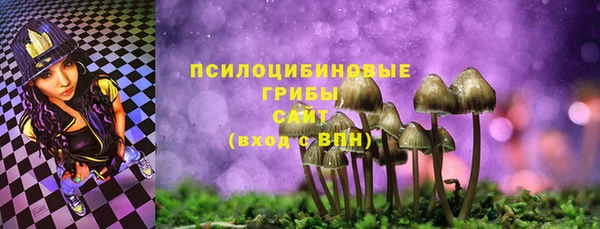 гашик Алексеевка