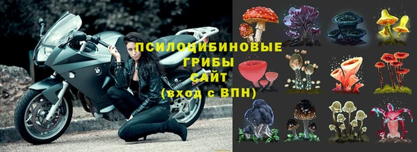 герыч Алексин