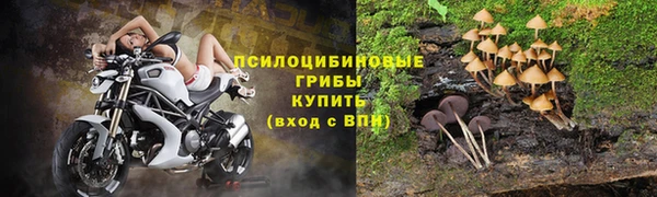 гашик Алексеевка