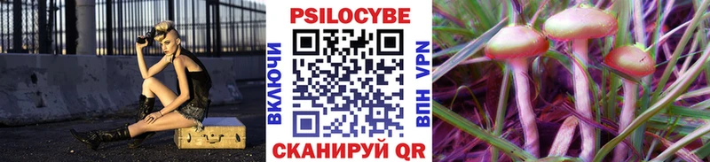 Псилоцибиновые грибы прущие грибы  Вышний Волочёк 